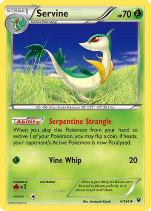Servine 6/124 - XY  Fates Collide - Poke-Collect