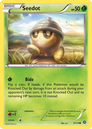 Seedot 9/114 - XY  Steam Siege Reverse Holofoil - Poke-Collect