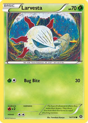 Larvesta 14/114 - XY  Steam Siege - Poke-Collect