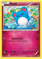 Marill 76/114 - XY  Steam Siege - Poke-Collect