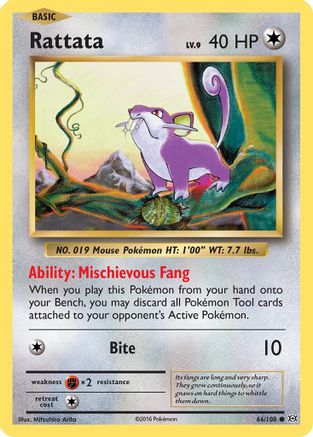 Rattata 66/108 - XY  Evolutions Reverse Holofoil - Poke-Collect
