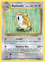 Raticate 67/108 - XY  Evolutions Reverse Holofoil - Poke-Collect