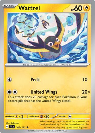 Wattrel 80 - SV02 Paldea Evolved - Poke-Collect