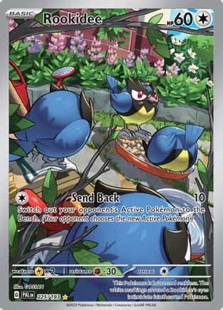 Rookidee - 225/193 225 - SV02 Paldea Evolved Holofoil - Poke-Collect