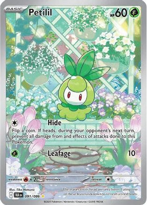 Petilil - 091/086 91 - SV Black Bolt Holofoil - Poke-Collect