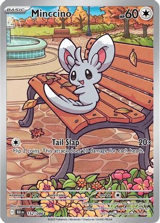 Minccino - 152/086 152 - SV Black Bolt Holofoil - Poke-Collect
