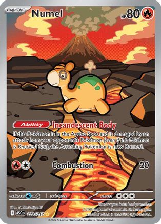 Numel - 223/217 223 - ME Ascended Heroes Holofoil - Poke-Collect