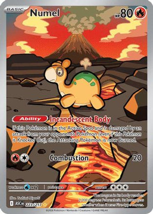 Numel - 223/217 223 - ME Ascended Heroes Holofoil - Poke-Collect