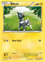 Blitzle (40) 40/114 - Black and White Reverse Holofoil - Poke-Collect