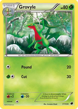 Grovyle 7/116 - Plasma Freeze - Poke-Collect
