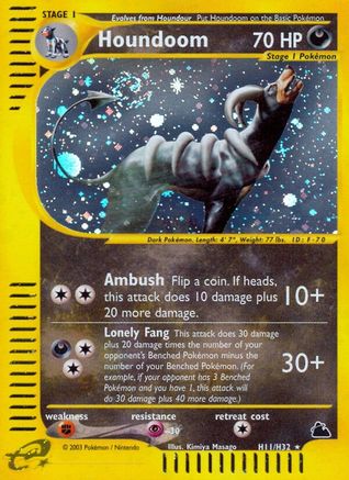 Houndoom (H11) H11/144 - Skyridge Holofoil - Poke-Collect