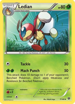 Ledian 7/146 - XY Reverse Holofoil