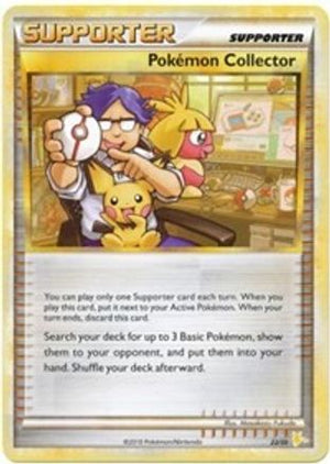 Pokemon Collector (#22) 22 - HGSS Trainer Kit Gyarados & Raichu - Poke-Collect