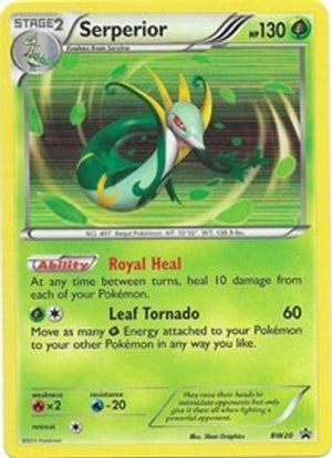 Serperior - BW20 BW20/101 - Black and White Promos Holofoil - Poke-Collect