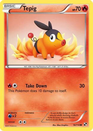 Tepig 16/114 - Black & White - Poke-Collect
