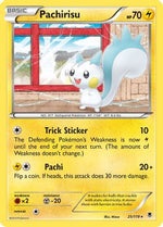 Pachirisu 25/119 - XY  Phantom Forces - Poke-Collect