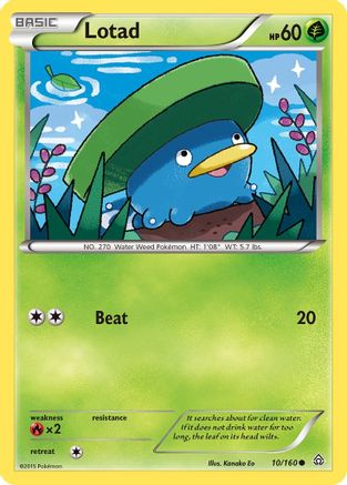 Lotad 10/160 - XY  Primal Clash Reverse Holofoil - Poke-Collect