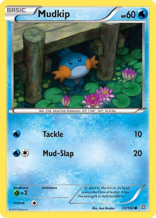 Mudkip 33/160 - XY  Primal Clash - Poke-Collect