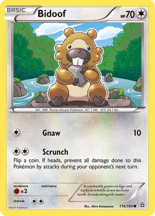 Bidoof 116/160 - XY  Primal Clash - Poke-Collect