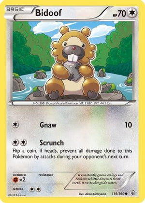 Bidoof 116/160 - XY  Primal Clash - Poke-Collect