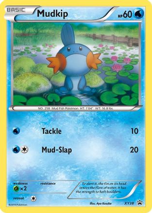 Mudkip - XY38 XY38/211 - XY Promos Holofoil - Poke-Collect