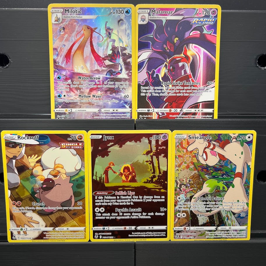 Trainer Gallery Bundle - Poke-Collect