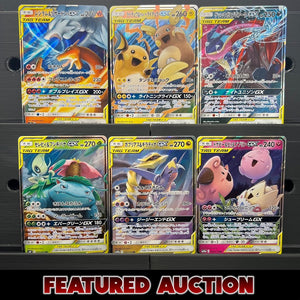 Tag Team Bundle - Poke-Collect