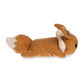 Pokémon Center Eevee Pokémon Comfy Cuddlers Plush